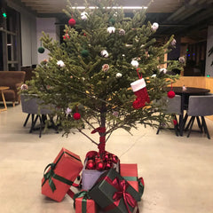 Knitted Christmas Letter Socks