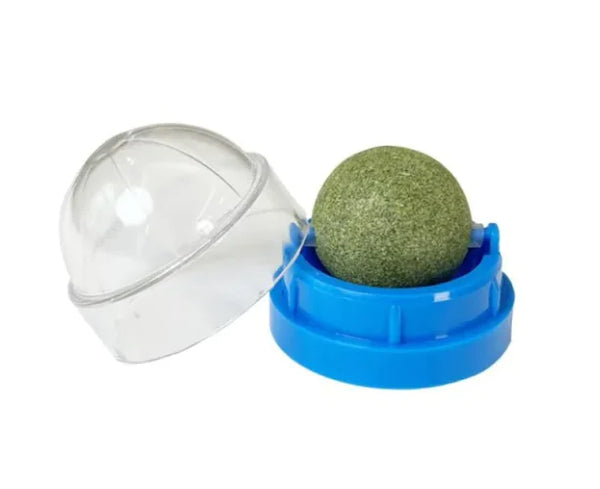 Pet Supplies