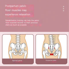 Pelvic Floor Trainer for Thigh and Leg Toning